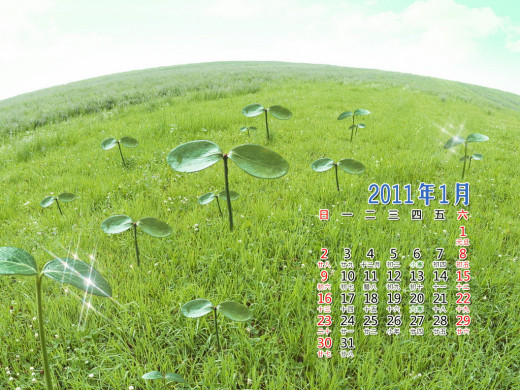 404207 (a): :1024x768